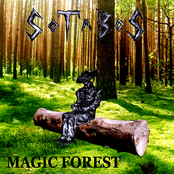 MAGIC FOREST
