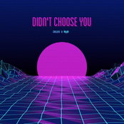 Didn't Choose You