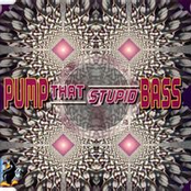 Pump That Stupid Bass