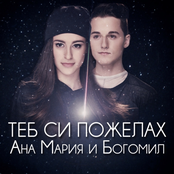 Теб си пожелах