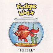 Al by Fudge Wax