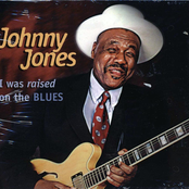 I Was Raised on the Blues