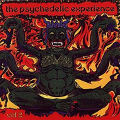 The psychedelic Experience vol 2