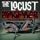 The Locust: Molecular Genetics from the Gold Standard Labs