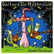 GUITARS ON MUSHROOM Vol. 1