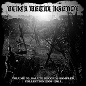Black Metal Agenda Volume 33: Salute Records Sampler Collection 2008 - 2011