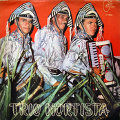 Trio Nortista