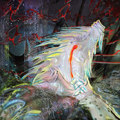 Sin Cara, Sin Nombre