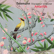 Telemann: Voyageur virtuose