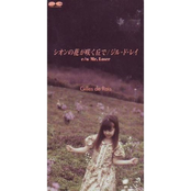 シオンの花が咲く丘で