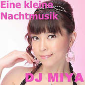 Eine kleine Nachtmusik DJ MIYA Remix