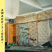 Tiger / Awake