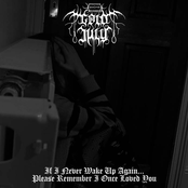 If I Never Wake up Again, Please Remember I Once Loved you