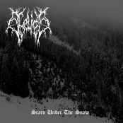 Scars Under the Snow