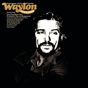 Laid Back Country Picker by Waylon Jennings