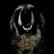 Somer/Wantok 7" (Bro Fidelity Records)