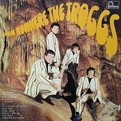 Evil by The Troggs