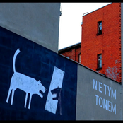 Nocne Polaków Rozmowy