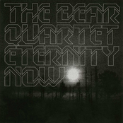 Bear Quartet International Airport by The Bear Quartet