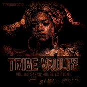Tribe Vaults, Vol. 4 (Afro House Edition)
