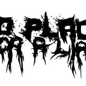 Rise Against (Single)