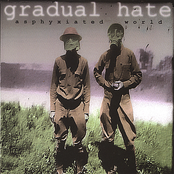 Gradual Hate by Gradual Hate