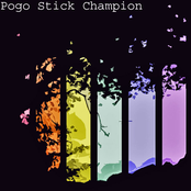 pogo stick champion