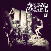 Annimal Machine