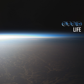 Ovoid: life