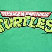 teenage mutant hero turtles