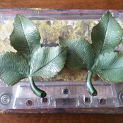 Mind Pollution Color Scheme