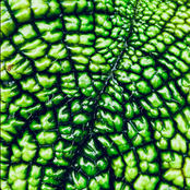 11 (RETURN TO FROGSHIT)