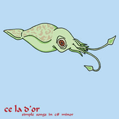 simple songs in c# minor