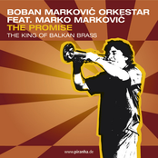 Latino by Boban Marković Orkestar
