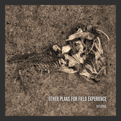 Other Plans for Field Experience