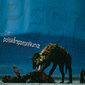 Politikarepoizonekurvae