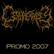 Promo 2007