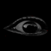 monster (deleted track)