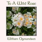 To a Wild Rose