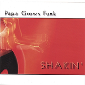 Papa Grows Funk: Shakin'