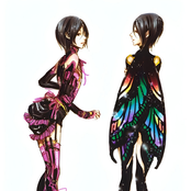 blossom , new beginnings