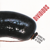 Puertas by Divididos