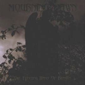 Cloak Of Ignorance by Mourning Dawn