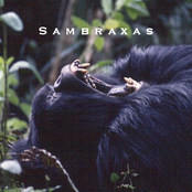 Sambraxas
