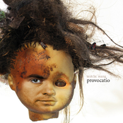 Mischa Mang`s Provocatio