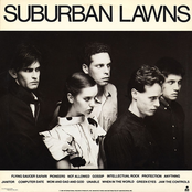 Green Eyes by Suburban Lawns