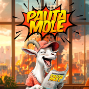 Pauta Mole