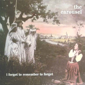 Sorrow Is The Way To Love by The Carousel