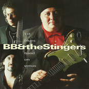 bb & the stingers