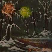 My Kingdom, The Void